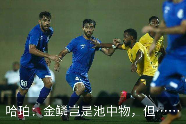 哈珀：金鳞岂是池中物，但……