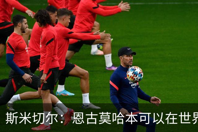 斯米切尔：恩古莫哈本可以在世界杯改变局势，但他能参加下一届